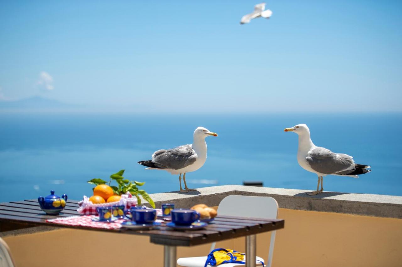 Apartament Casa Licia Positano Zewnętrze zdjęcie